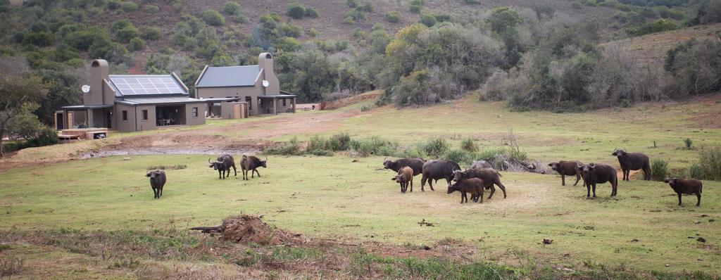 Botlierskop Bush Villas Sandhoogte Εξωτερικό φωτογραφία