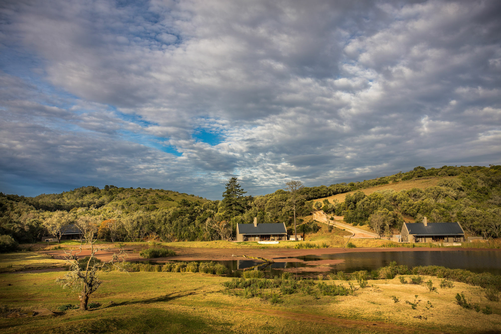 Botlierskop Bush Villas Sandhoogte Εξωτερικό φωτογραφία